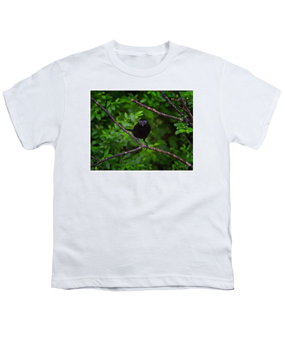 Common Grackle Youth T-Shirt featuring the photograph You Looking At Me by John Benedict