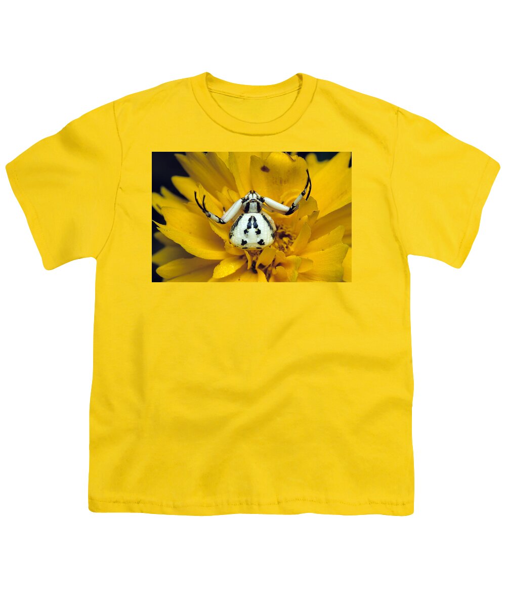 Crab Spider Youth T-Shirt featuring the photograph Crab Spider, 1 Of 2 by Stuart Wilson