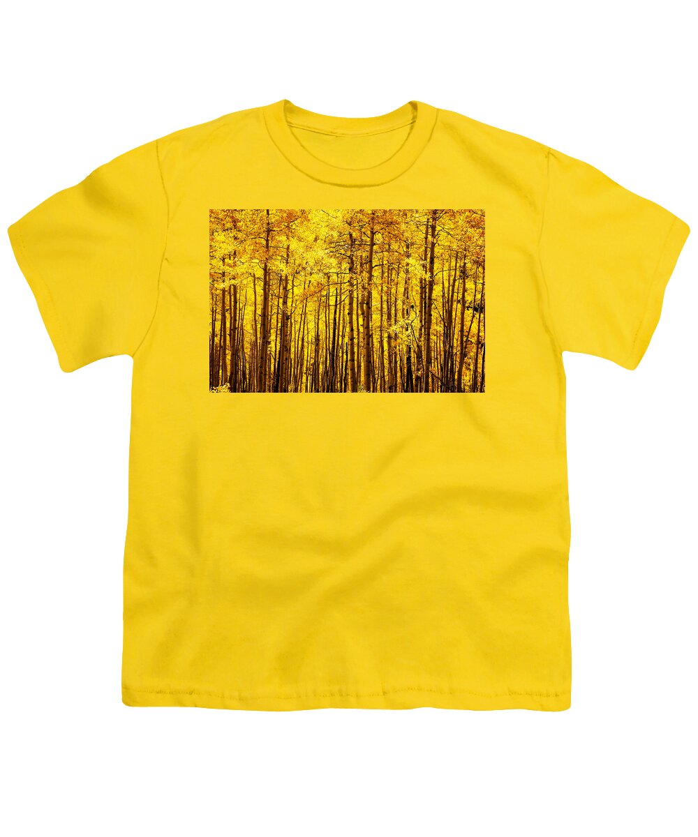 Colorado Youth T-Shirt featuring the photograph Forest Glow by Ken Smith