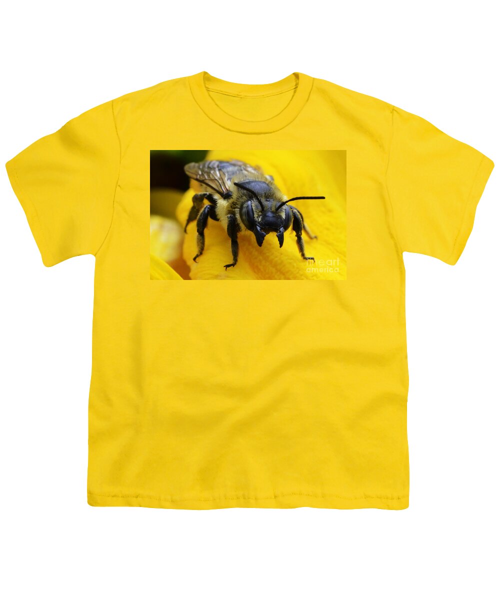 Bee Youth T-Shirt featuring the photograph Go Ahead Make My Day by Bob Christopher
