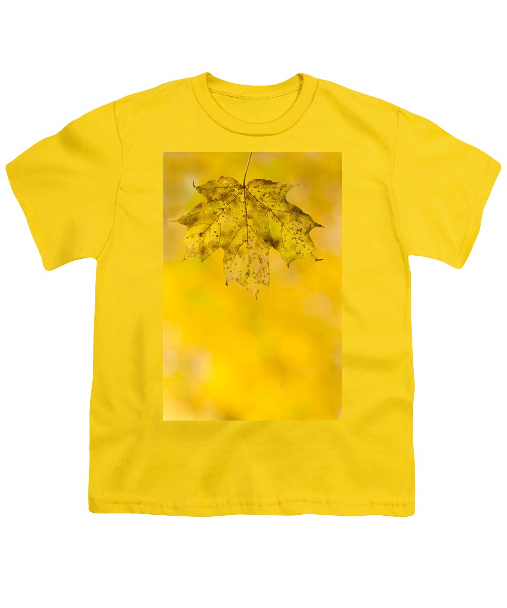 Fall Youth T-Shirt featuring the photograph Golden Autumn by Sebastian Musial