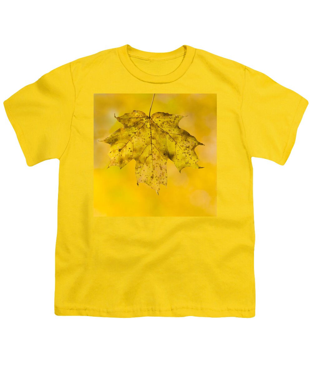 Fall Youth T-Shirt featuring the photograph Golden Maple Leaf by Sebastian Musial