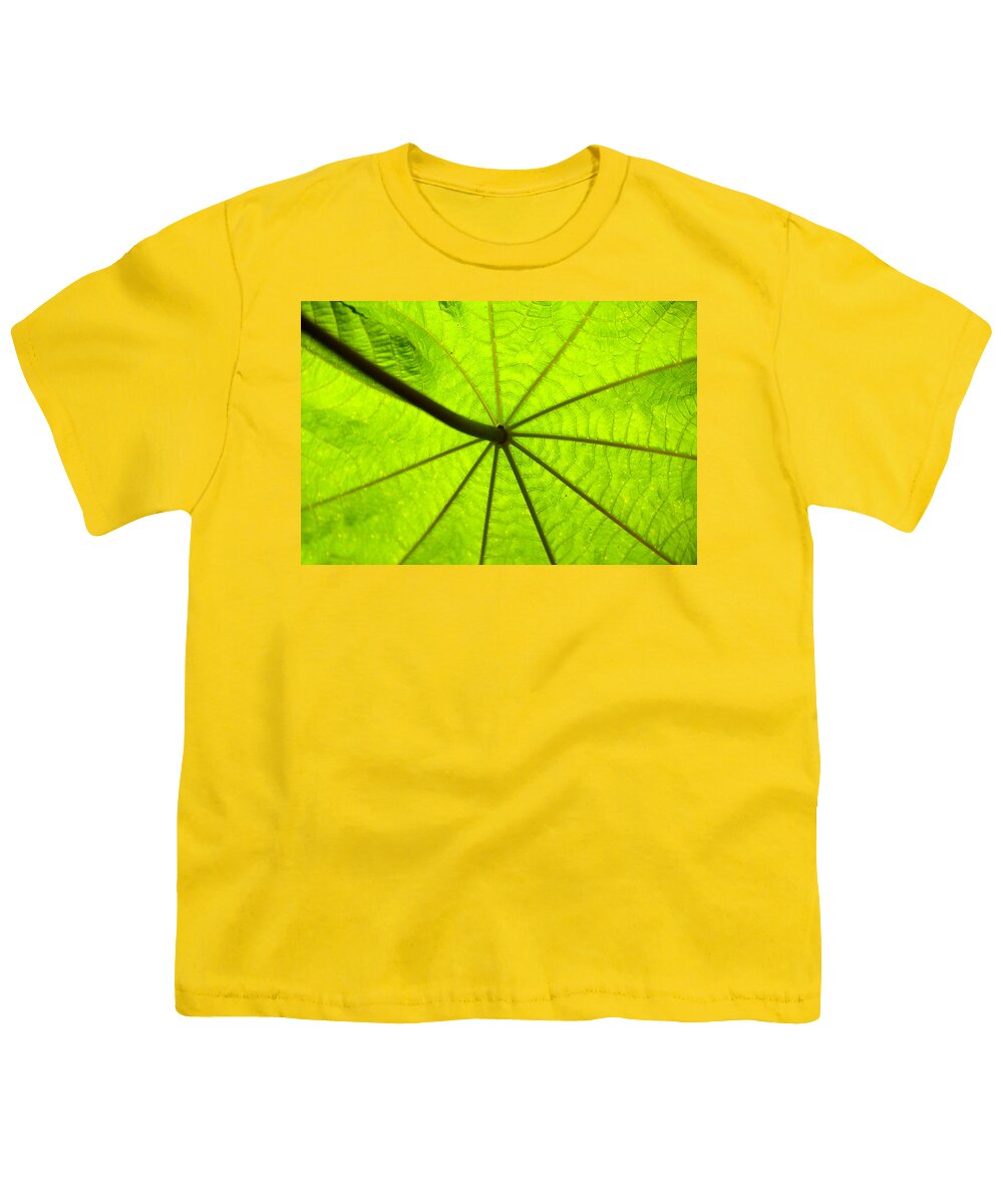 Green Youth T-Shirt featuring the photograph Green growth by David Lee Thompson
