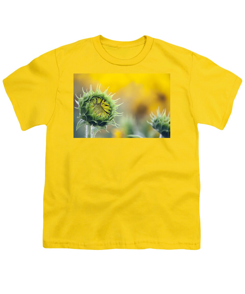 Sunflower Youth T-Shirt featuring the photograph Sunflower Bloom by Debby Richards