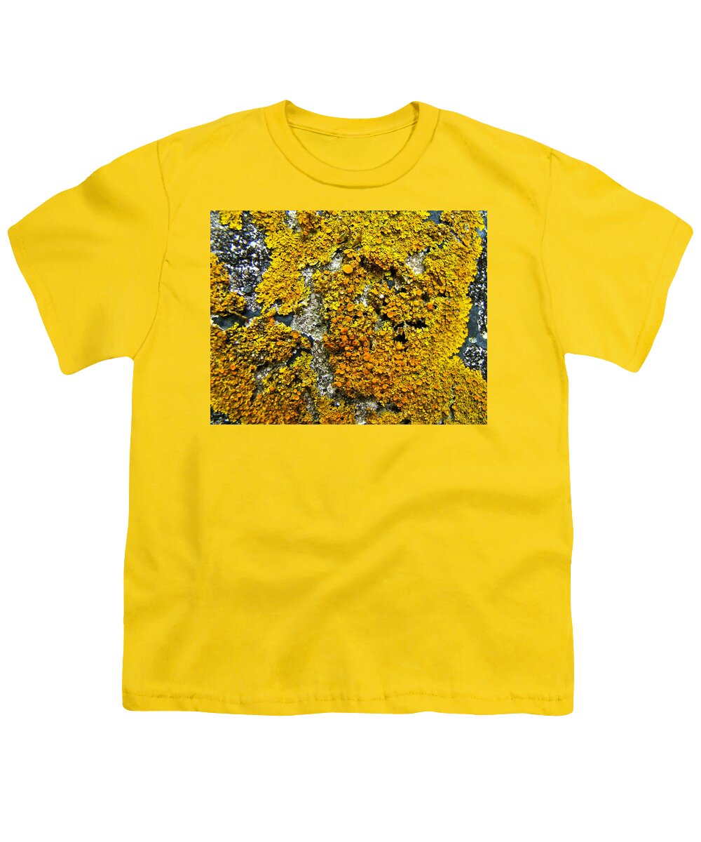 Lichen Youth T-Shirt featuring the photograph Orange Lichen - Xanthoria parietina by Carol Senske