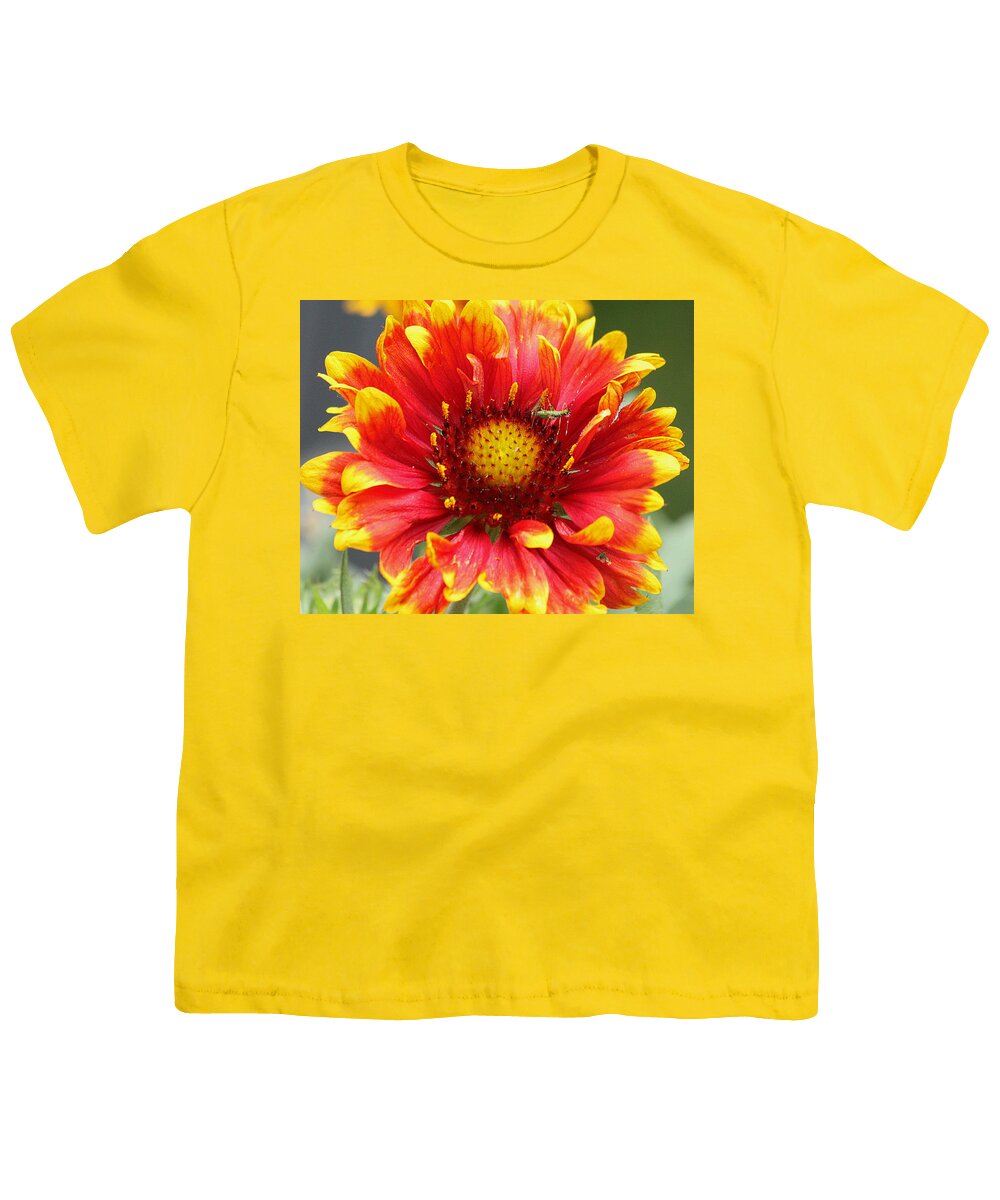 Nature Youth T-Shirt featuring the photograph Blanket Flower and Bug by Sheila Brown