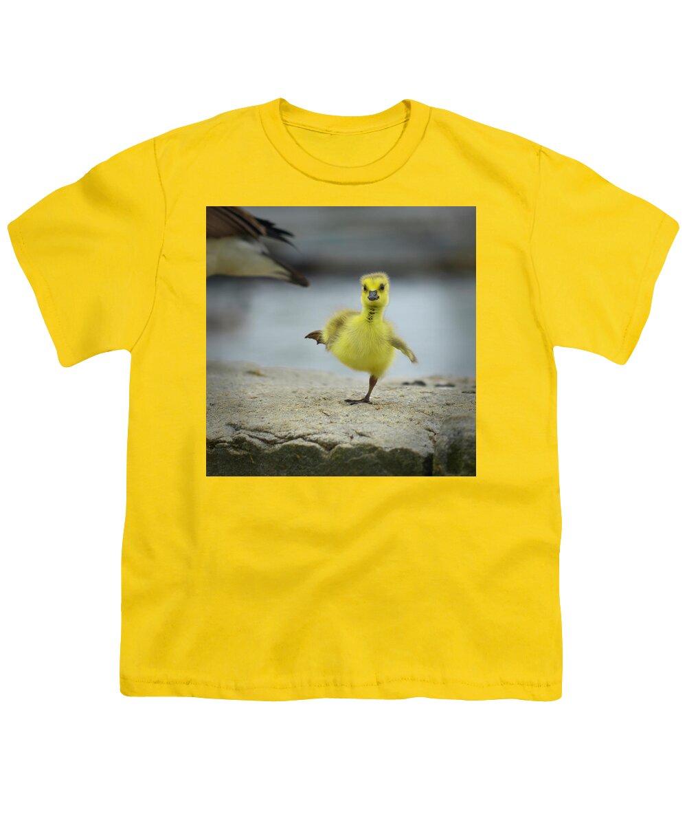 Cute Furry Gosling Youth T-Shirt featuring the photograph Camden Gosling by Jeff Cooper