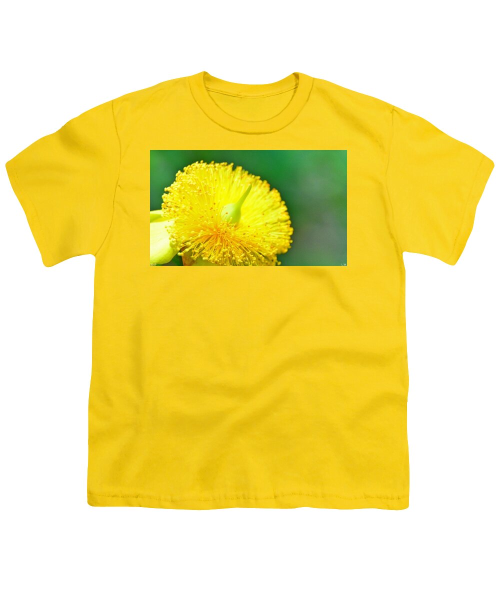 Golden Guinea 2 Youth T-Shirt featuring the photograph Golden Guinea 2 by Lisa Wooten