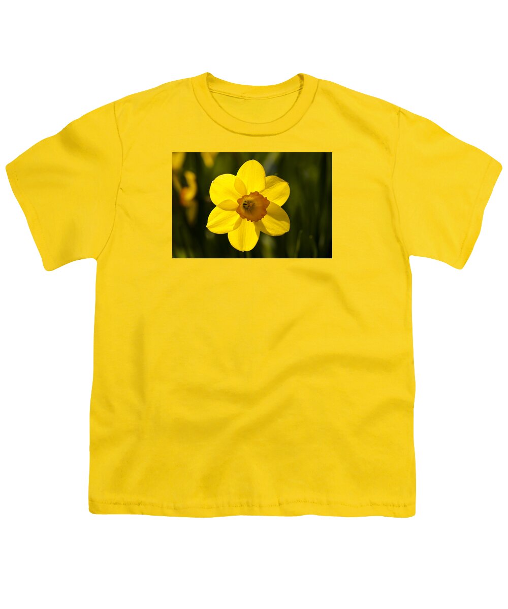  Youth T-Shirt featuring the photograph Projecting the Sun by Dan Hefle