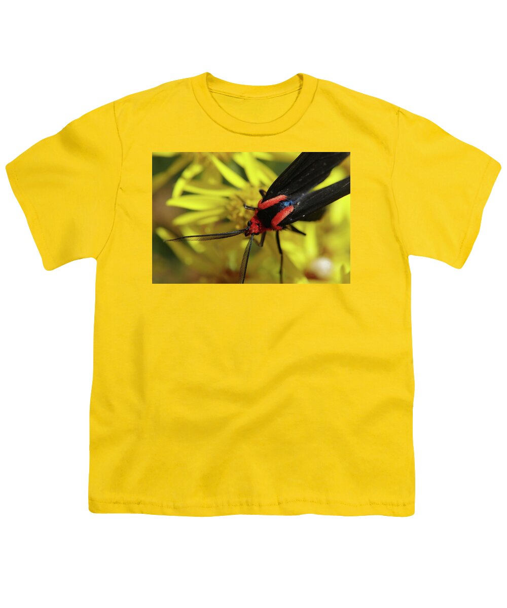 Adria Trail Youth T-Shirt featuring the photograph Red Ragwort Visitor by Adria Trail