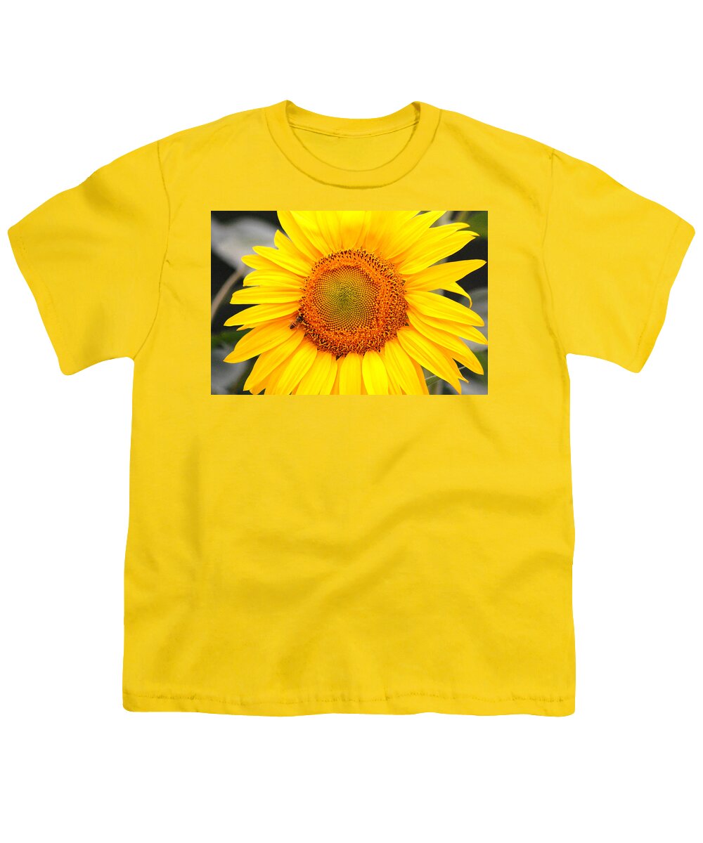 Sunflower Youth T-Shirt featuring the photograph Yellow Sunflower with bee by Amy Fose