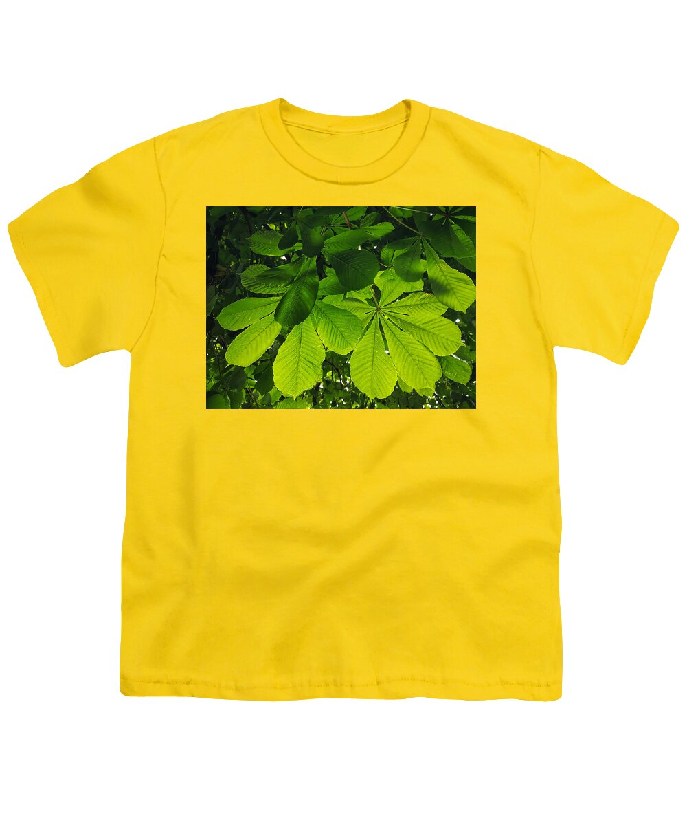 Horse Chestnut Youth T-Shirt featuring the photograph Beneath the Horse Chestnut Tree by Mark Callanan