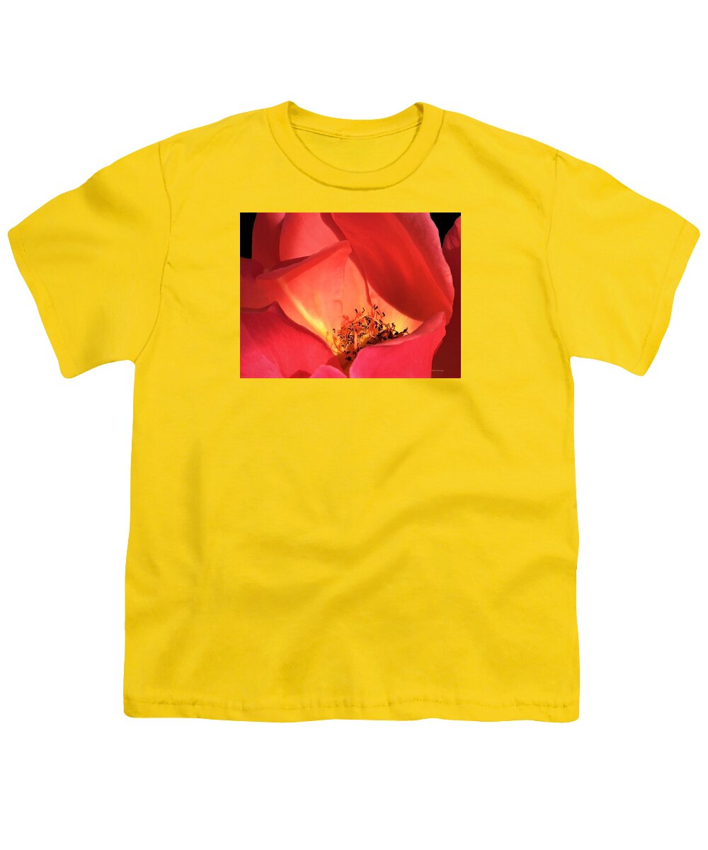 Rose Youth T-Shirt featuring the photograph Petals Aflame by Angela Davies
