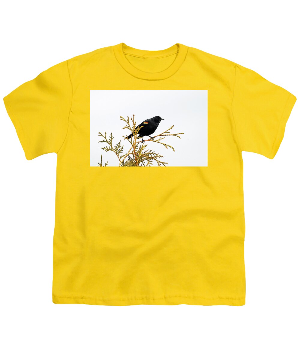 Red Winged Blackbird Youth T-Shirt featuring the photograph Red Winged Blackbird On Cedar by Debbie Oppermann