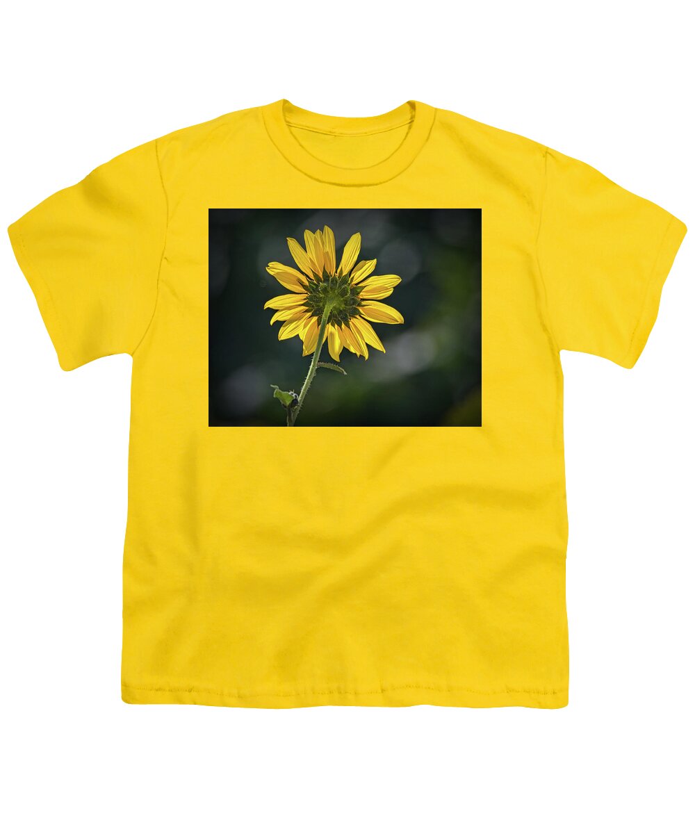 Bloom Youth T-Shirt featuring the photograph Sunny Sunflower Following the Sun by Debra Martz