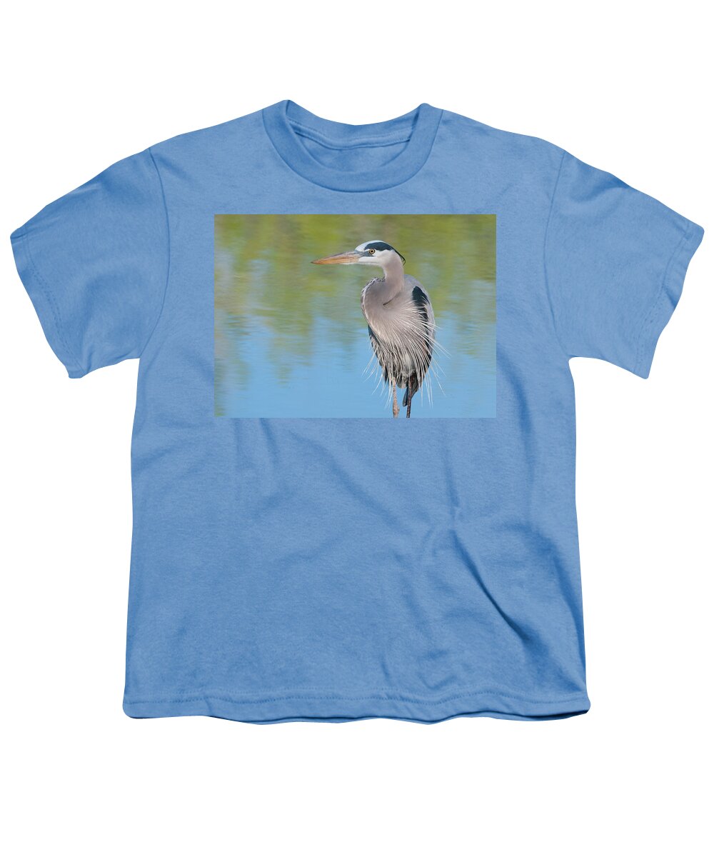 Great Blue Heron Youth T-Shirt featuring the photograph Great Blue Heron #3 by Tam Ryan