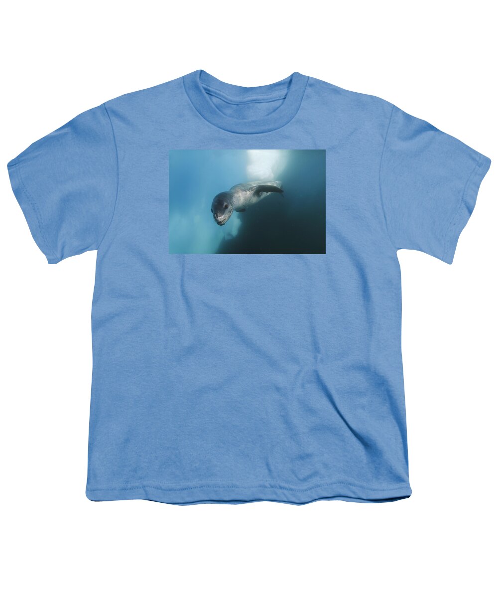 Feb0514 Youth T-Shirt featuring the photograph Leopard Seal Antarctica #2 by Hiroya Minakuchi
