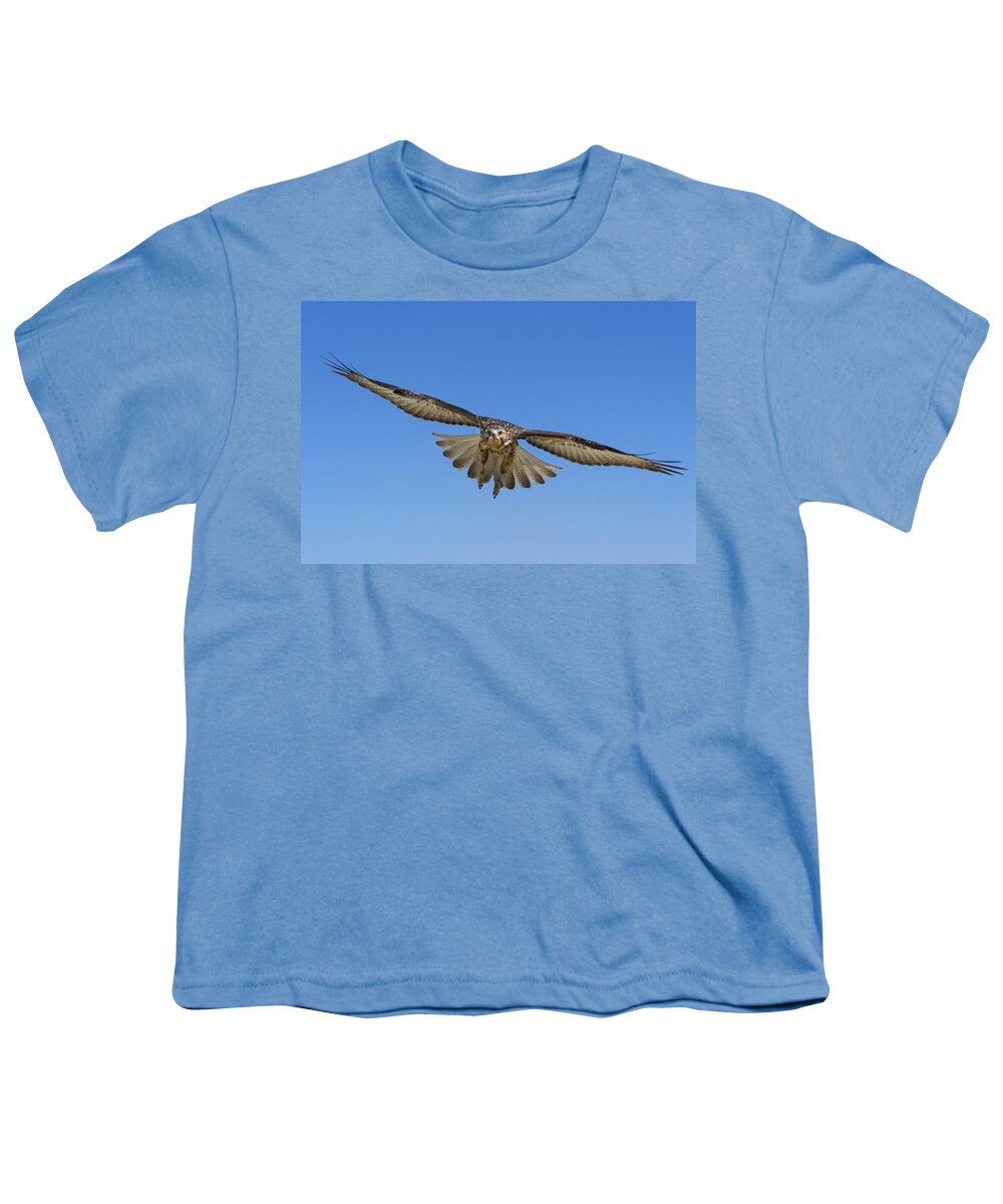531726 Youth T-Shirt featuring the photograph Galapagos Hawk Flying Alcedo Volcano #2 by Tui De Roy
