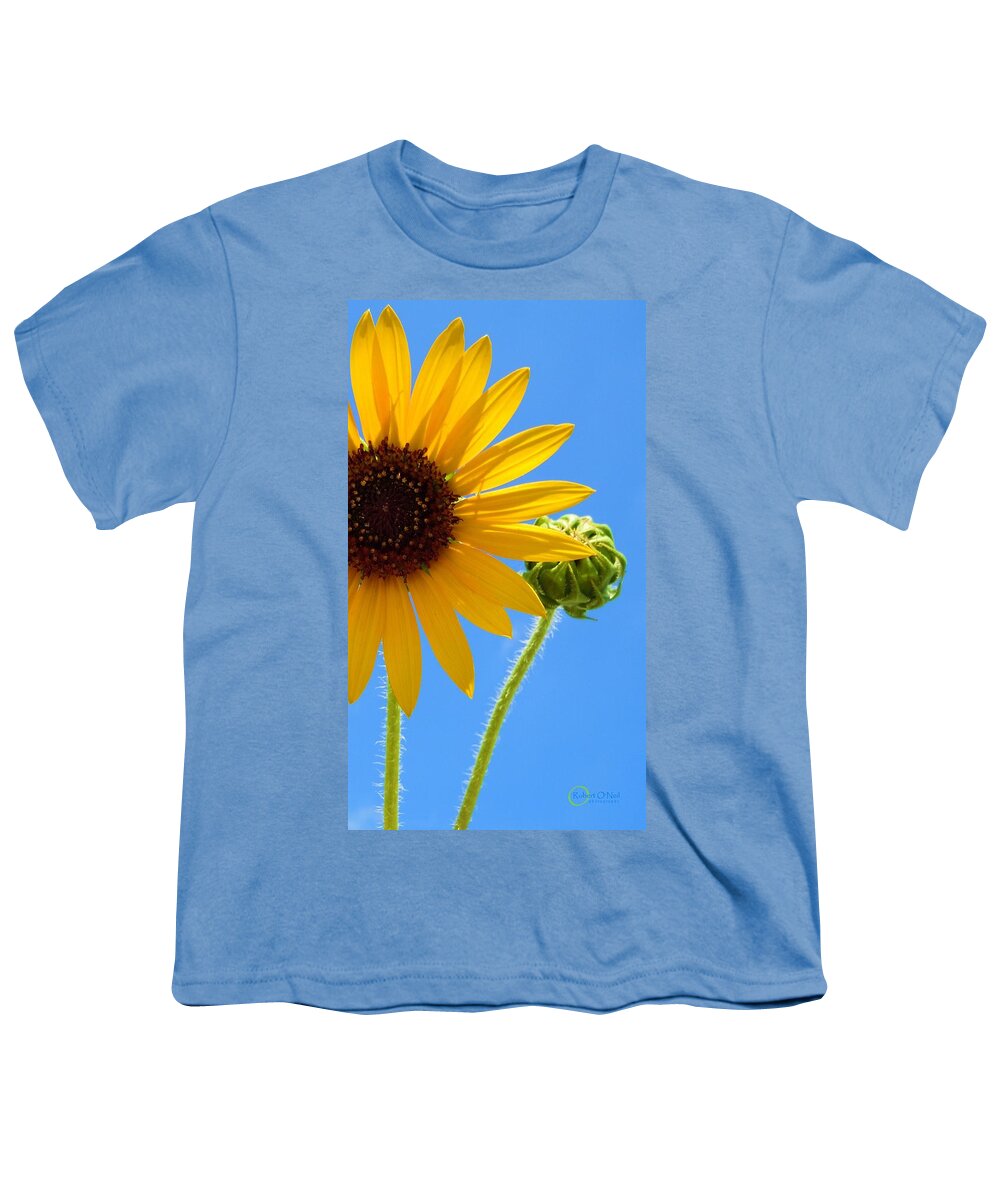 Sunflower Youth T-Shirt featuring the photograph A Sunshine Day #1 by Robert ONeil