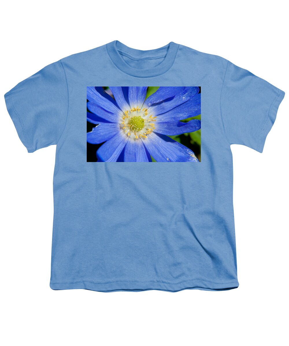 Anemone Youth T-Shirt featuring the photograph Blue Swan River Daisy by Tikvah's Hope