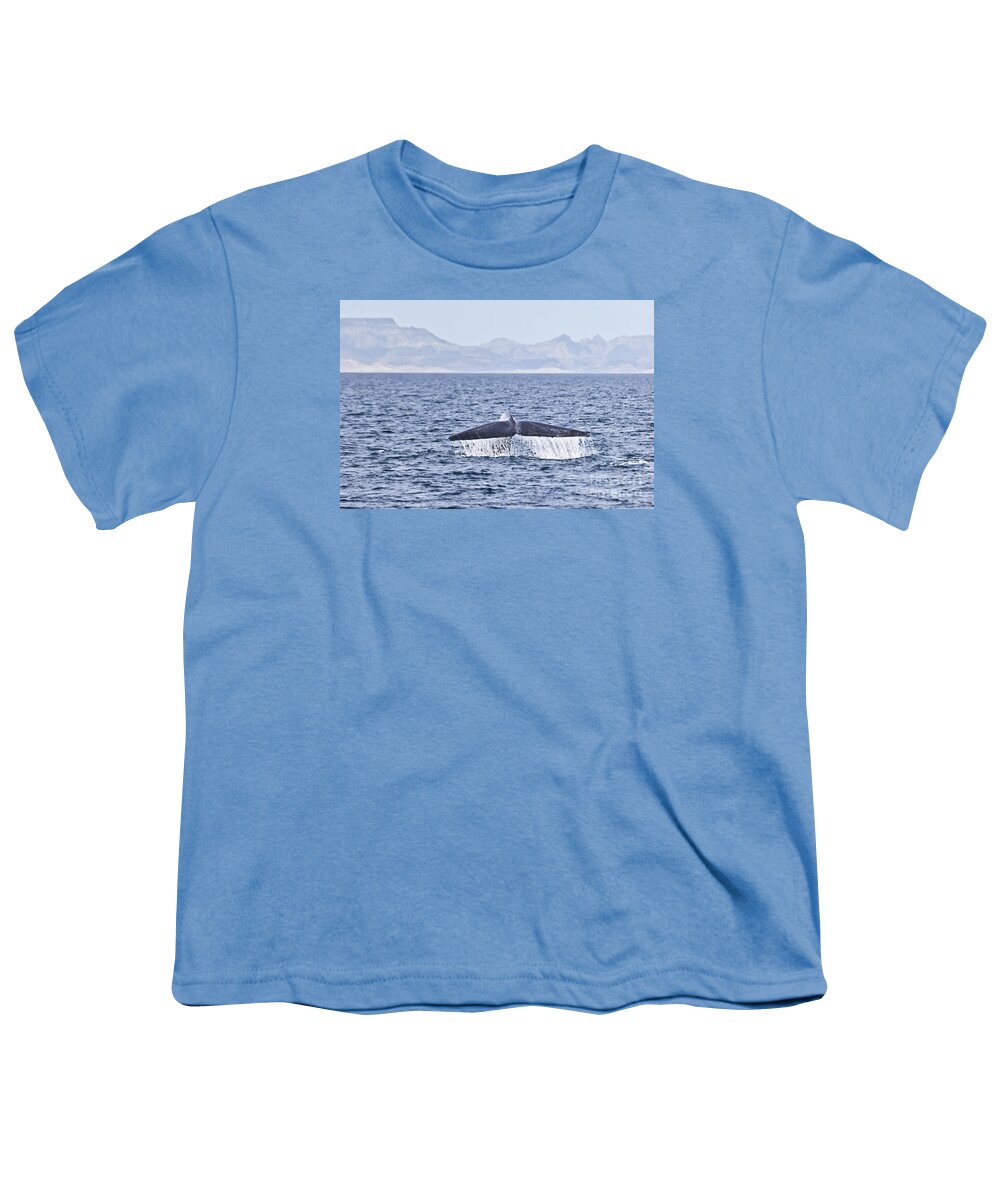 Blue Whale Youth T-Shirt featuring the photograph Blue whale Balaenoptera musculus fluking Sea of Cortez by Liz Leyden