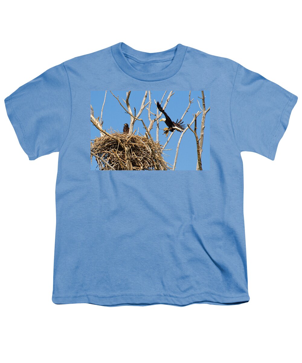 Bald Eagle Photograph Youth T-Shirt featuring the photograph Bringing up Baby by Jim Garrison