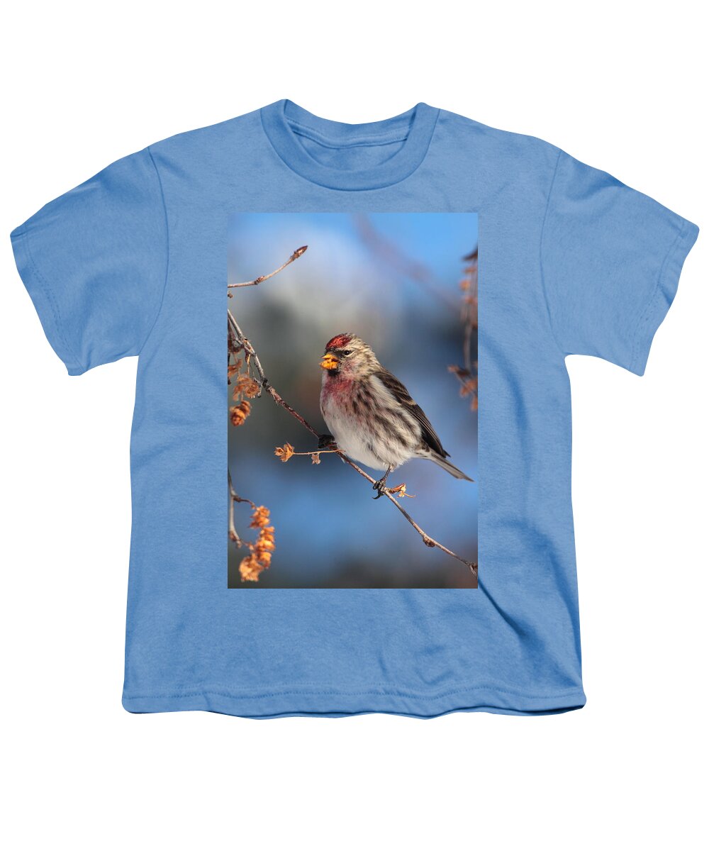 Redpoll Youth T-Shirt featuring the photograph Common Redpoll by Bruce J Robinson