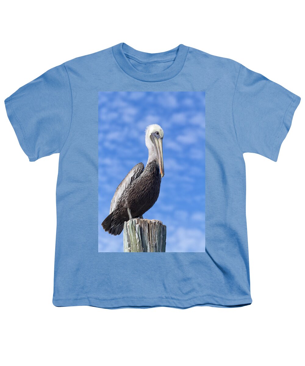 Pelican Youth T-Shirt featuring the photograph Florida Brown Pelican by Kim Hojnacki