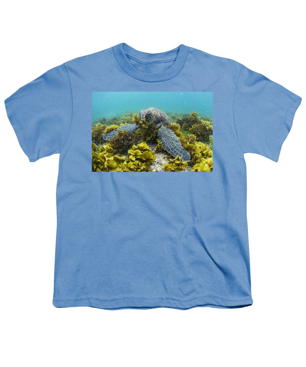 536797 Youth T-Shirt featuring the photograph Green Sea Turtle Eating Seaweed by Tui De Roy