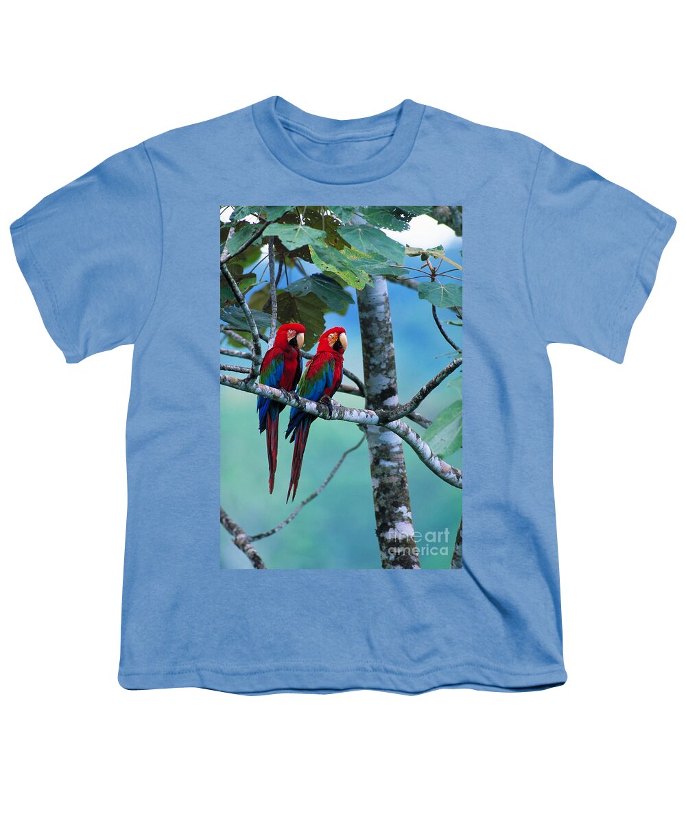 Green-winged Macaws Youth T-Shirt featuring the photograph Green-winged Macaws by Art Wolfe