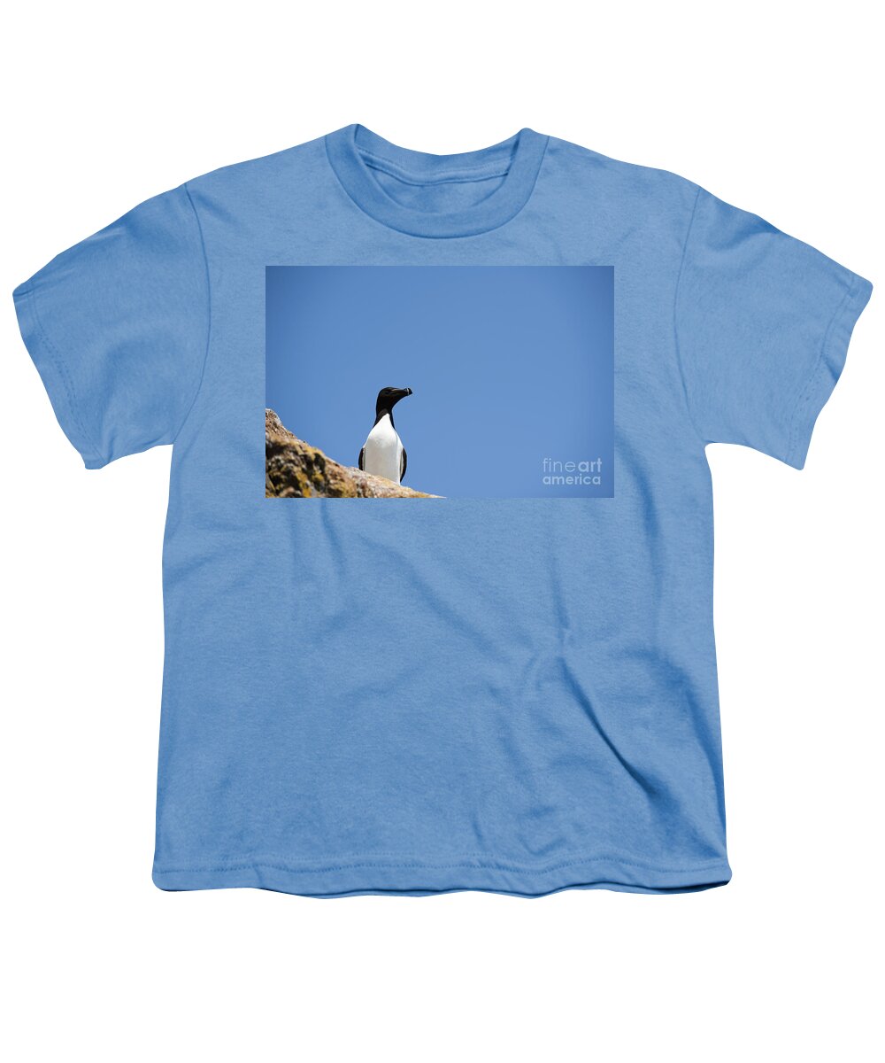 Alca Youth T-Shirt featuring the photograph Look At Me by Anne Gilbert