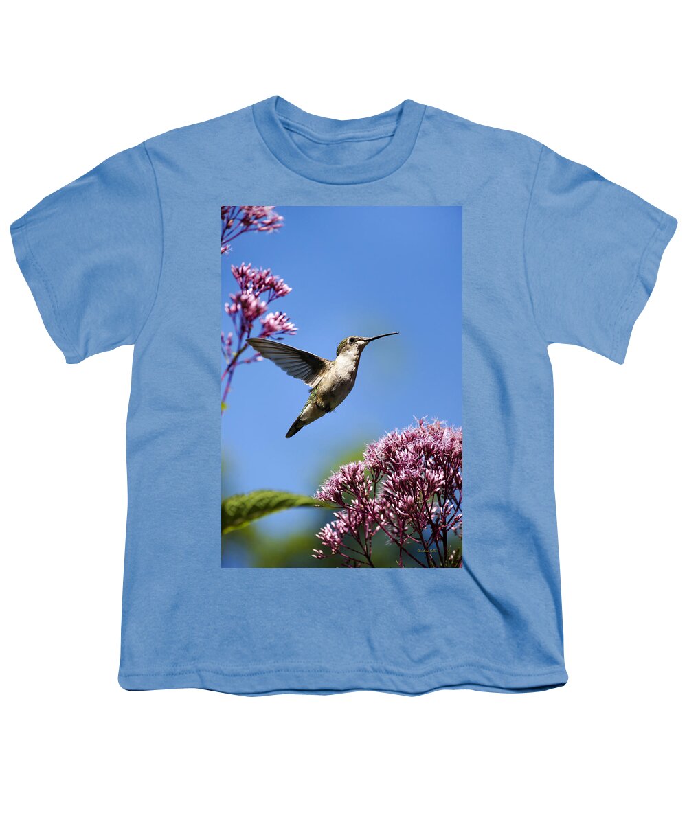 Hummingbird Youth T-Shirt featuring the photograph Modern Beauty by Christina Rollo