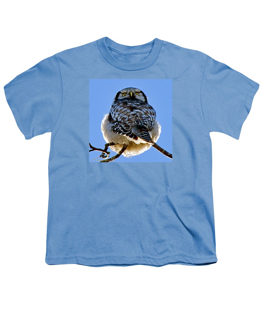 Northern Hawk Owl Looks Around Youth T-Shirt featuring the photograph Northern Hawk Owl looks around by Torbjorn Swenelius