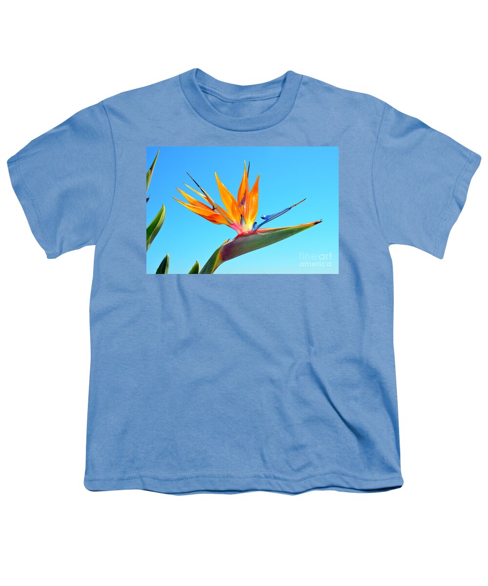 Bird Of Paradise Youth T-Shirt featuring the photograph Radiant Bird in the Sky by Debra Thompson