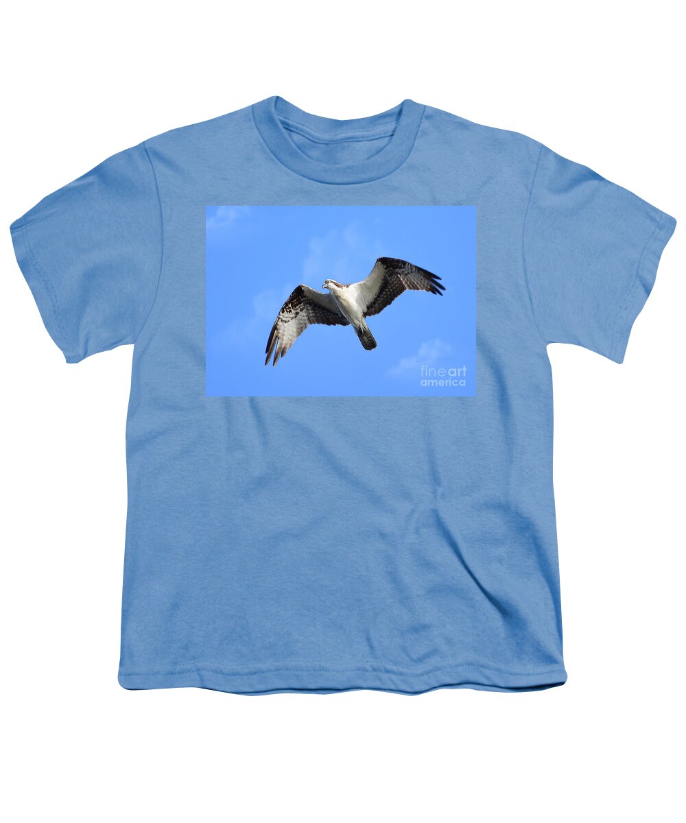 Osprey Youth T-Shirt featuring the photograph Soaring Osprey by Kathy Baccari