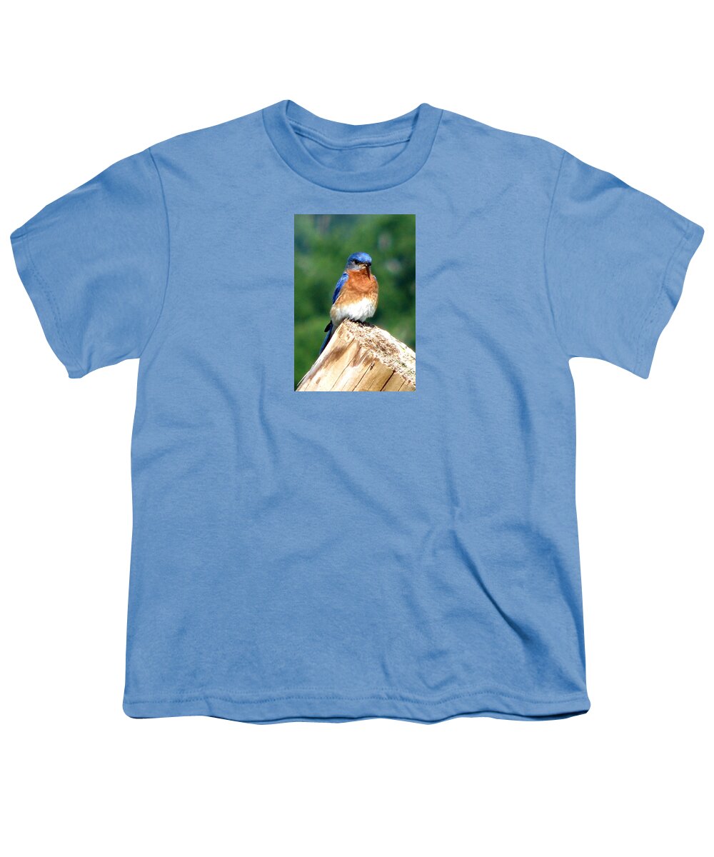 Bluebirds Youth T-Shirt featuring the photograph The Serendipitous Bluebird by Angela Davies