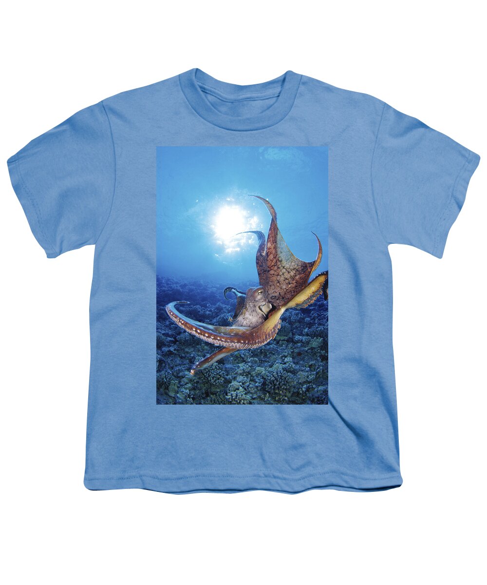 30-csm0241 Youth T-Shirt featuring the photograph Hawaii, Day Octopus #15 by Dave Fleetham - Printscapes