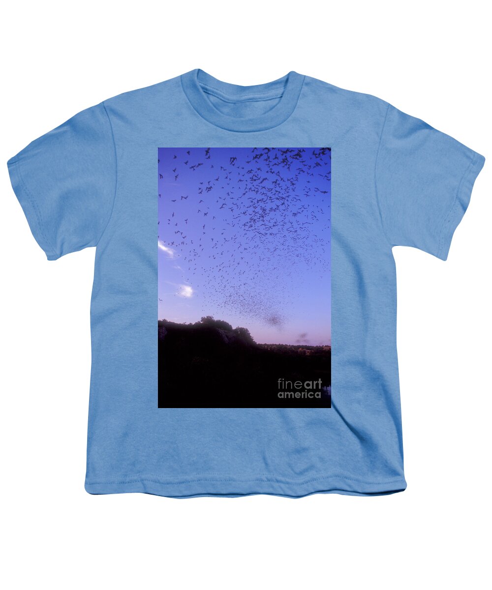 Mexican Freetail Bat Youth T-Shirt featuring the photograph Mexican Freetail Bats #3 by Dante Fenolio