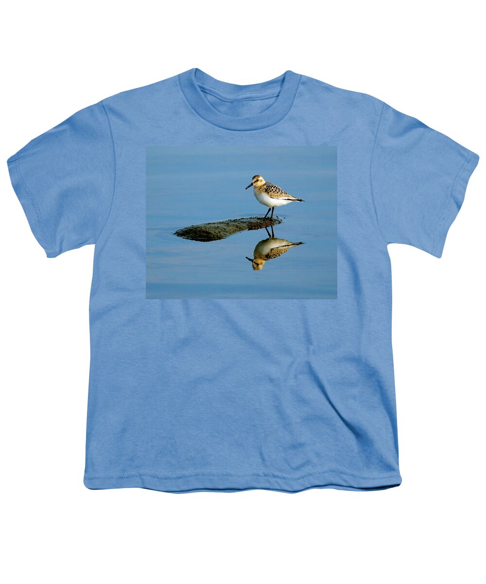 Sanderling Youth T-Shirt featuring the photograph Sanderling Reflecting by Tony Beck