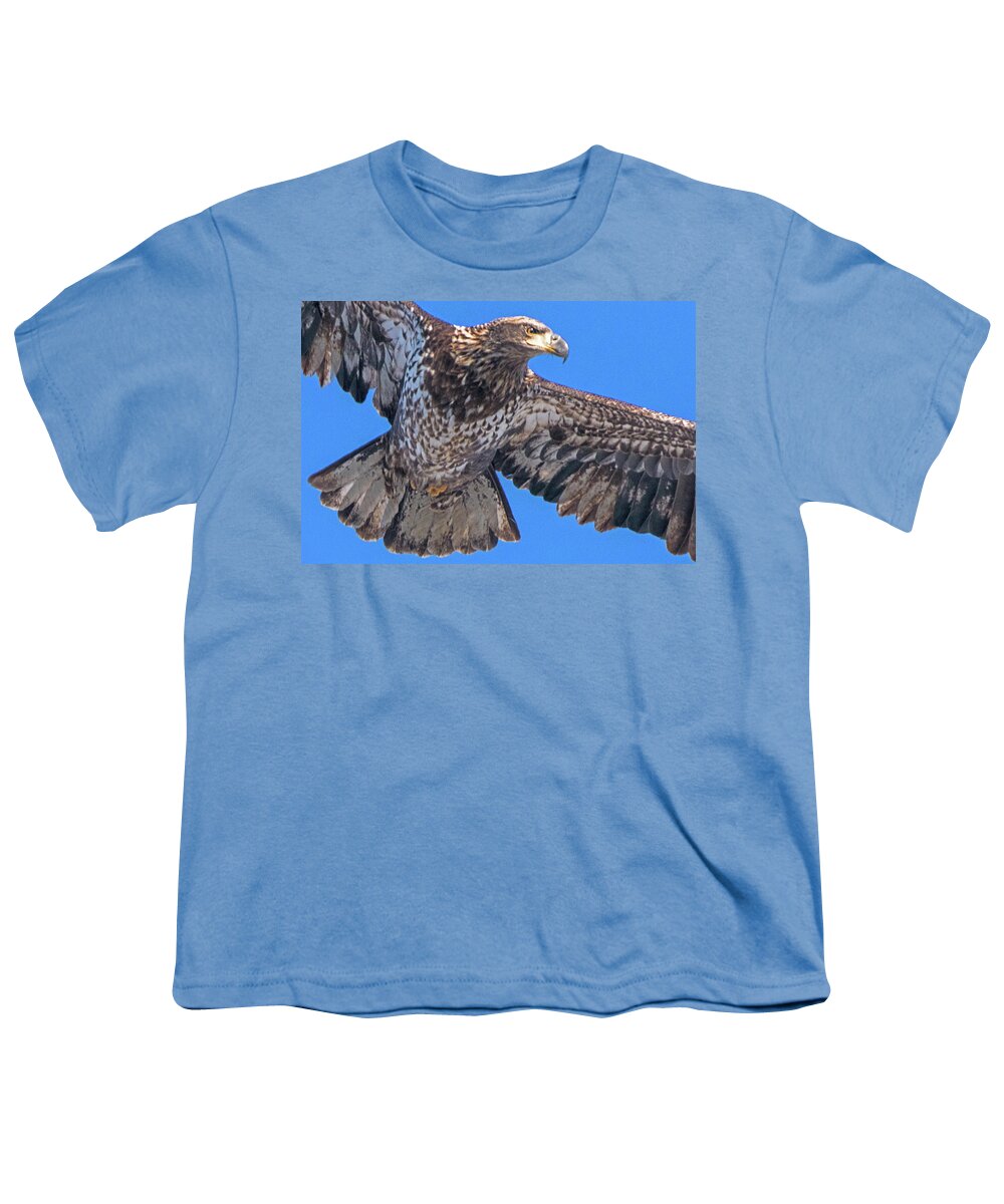 Eagle Youth T-Shirt featuring the photograph Immature Eagle in Flight #3 by Ira Marcus