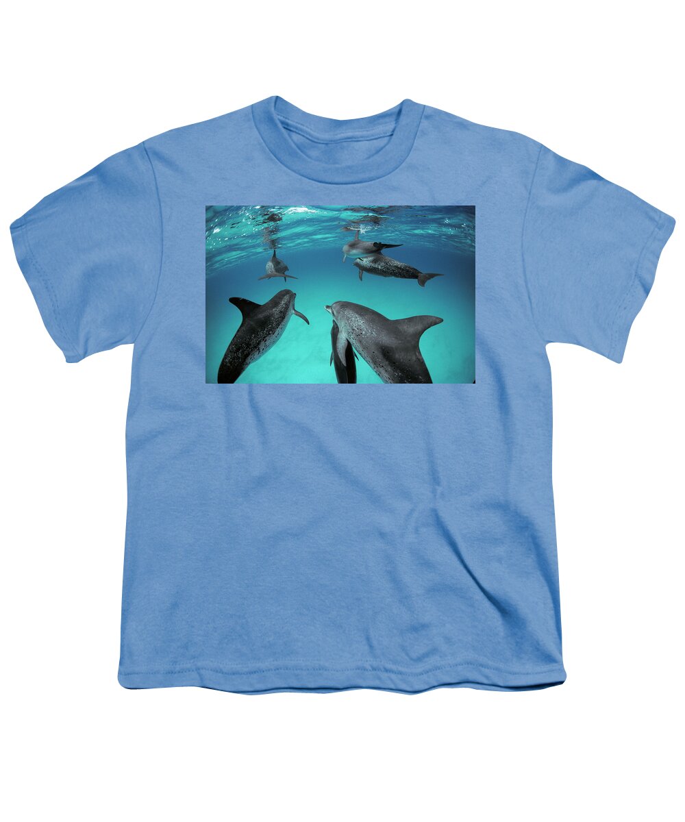 00088855 Youth T-Shirt featuring the photograph Among the Spotted Dolphins by Flip Nicklin