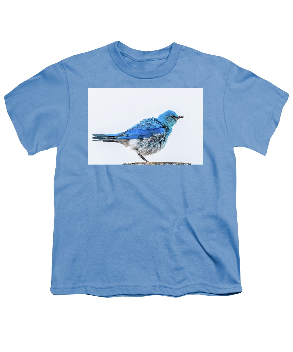 Bluebird Youth T-Shirt featuring the photograph Arriving In Spring by Yeates Photography