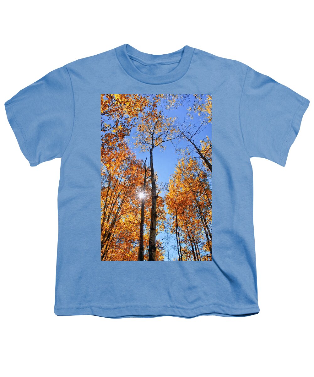 Autumn Leaves Youth T-Shirt featuring the photograph Autumn Gold Sunburst by Christina Rollo
