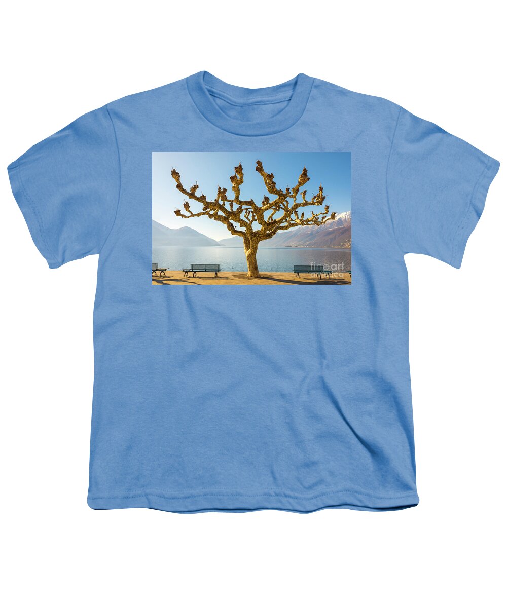 Tree Youth T-Shirt featuring the photograph Bare Tree by Mats Silvan