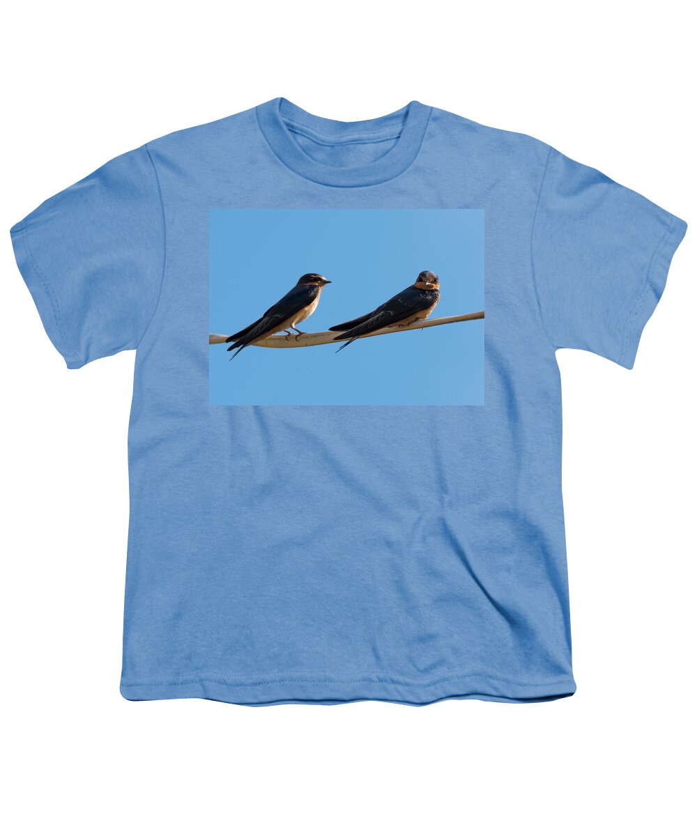 Barn Swallows Youth T-Shirt featuring the photograph Barn Swallows by Holden The Moment