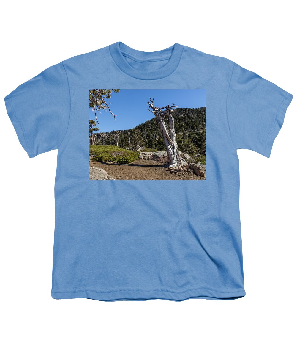 Socal Youth T-Shirt featuring the photograph Dead Tree by Ed Clark