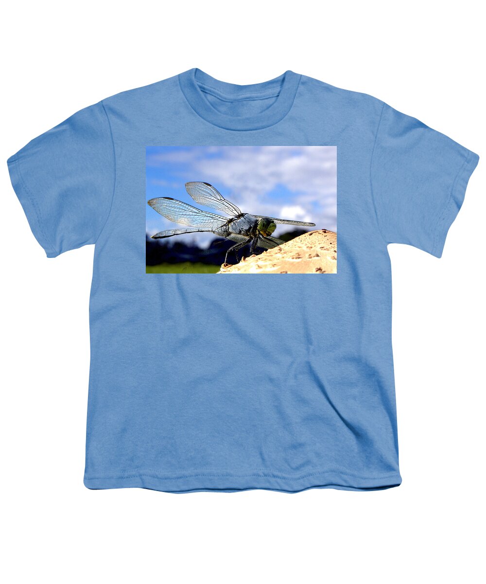 Dragonfly Youth T-Shirt featuring the photograph Dragonfly on a mushroom 001 by Christopher Mercer