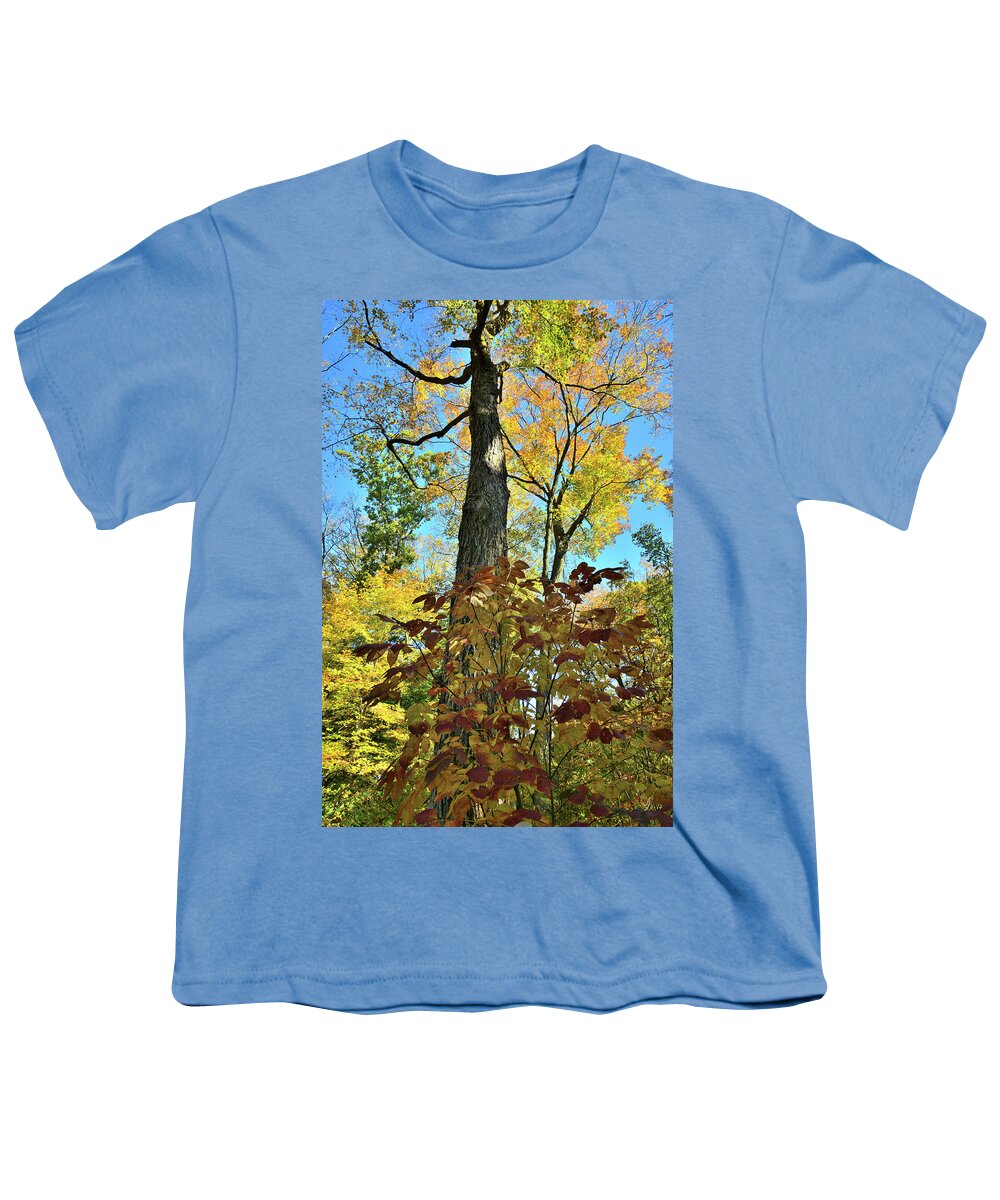 Lake County Youth T-Shirt featuring the photograph Fall Color Canopy in Ryerson Woods by Ray Mathis