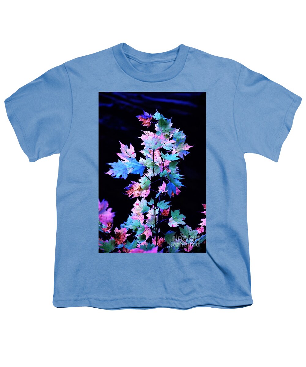 Autumn Youth T-Shirt featuring the photograph Fall Leaves1 by Merle Grenz