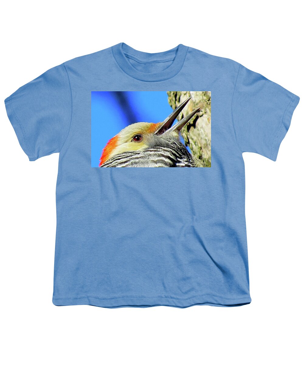 Woodpeckers Youth T-Shirt featuring the photograph Female Red-bellied Woodpecker Close Up by Linda Stern